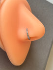 Neer Nose Ring