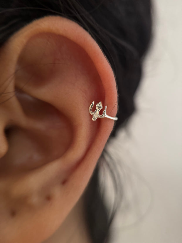 Trishul