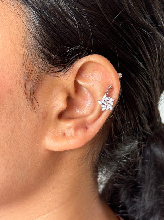 Flurry sparkle Earrings