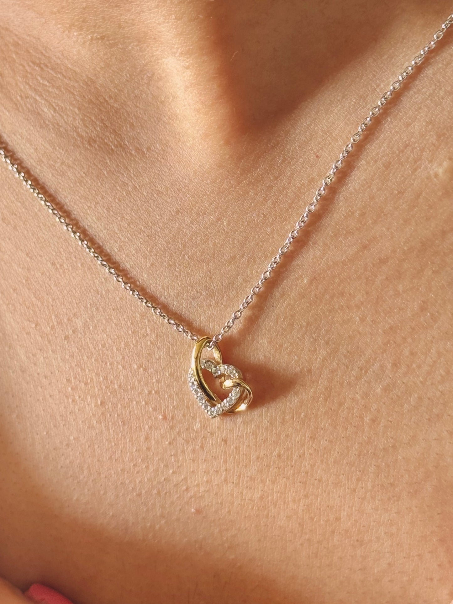 Heart Duet Necklace